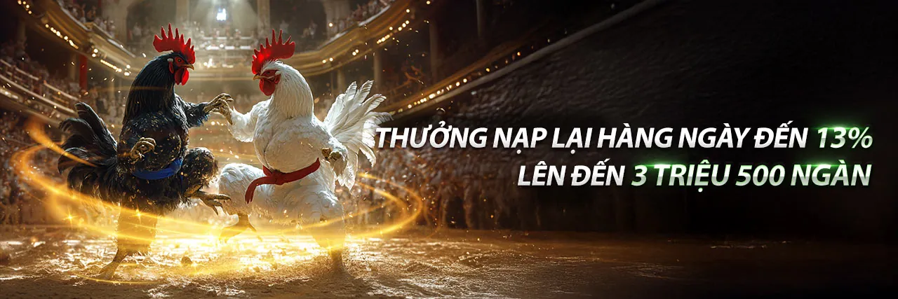 Ứng dụng 56wib trên điện thoại